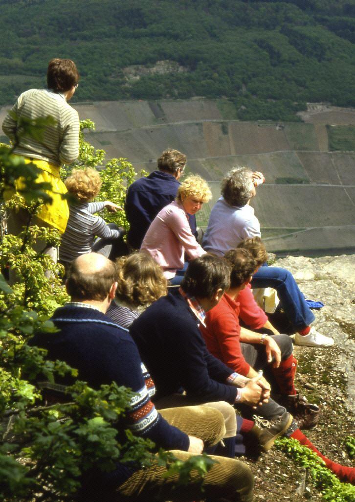 Auf dem Rhein Höhenweg