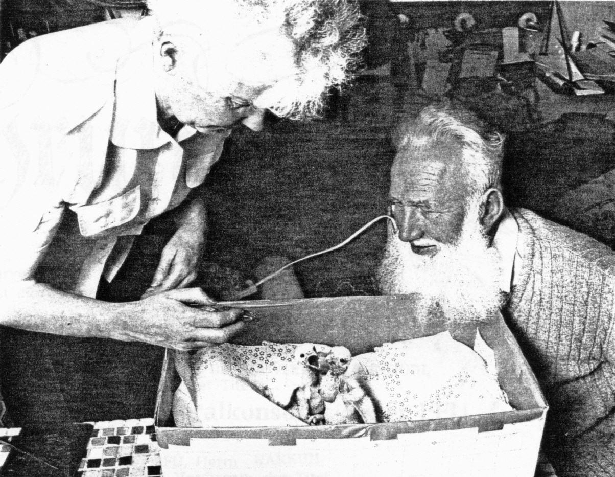 Aufzucht und Fütterung von Greifvogelküken